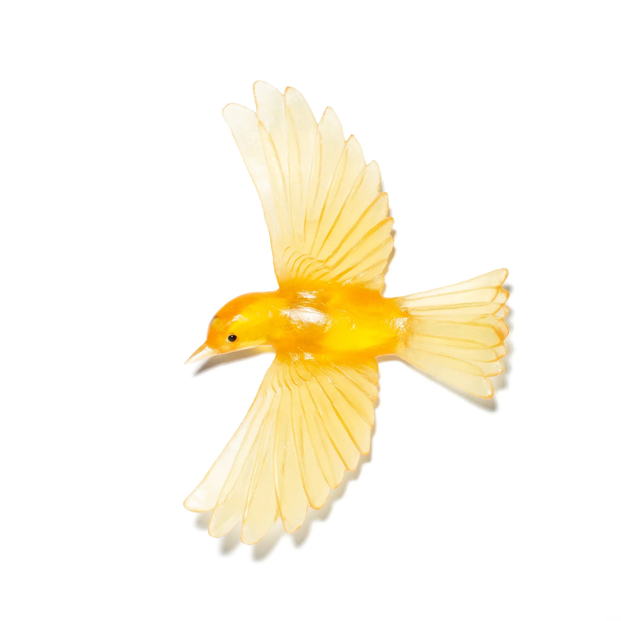Mōhua | Yellowhead | Glass Bird