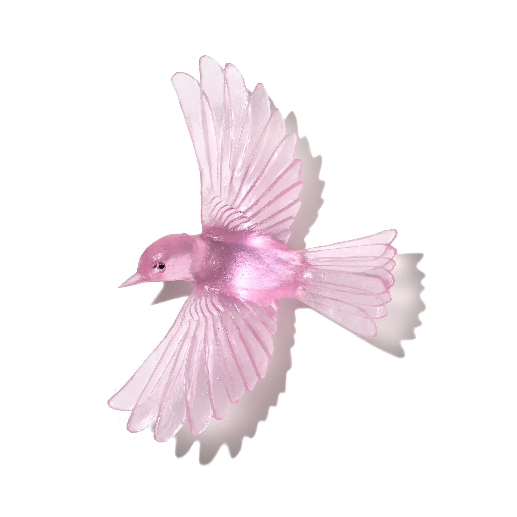 Mōhua | Yellowhead | Glass Bird