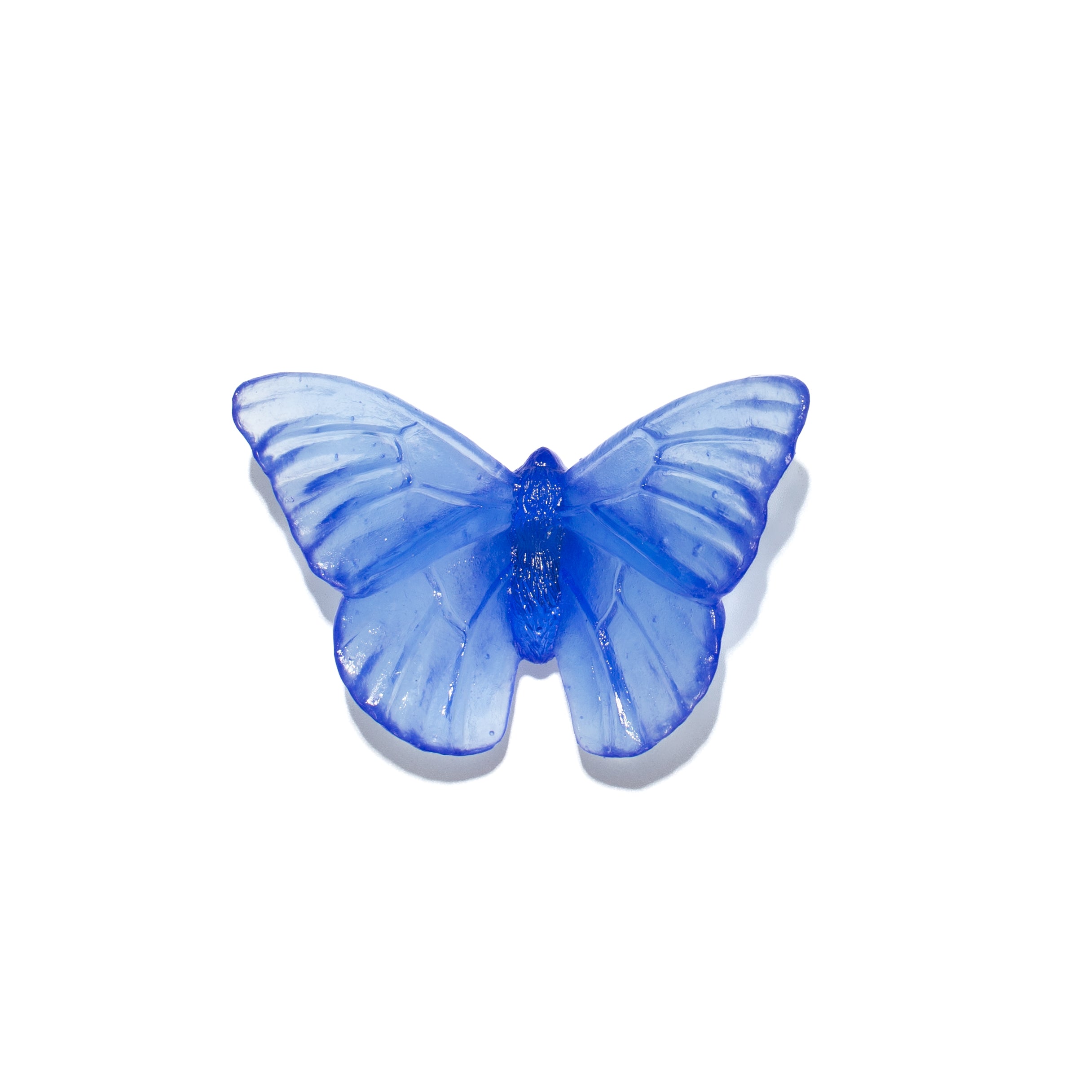Admiral | Classic Mount Butterfly | Glass