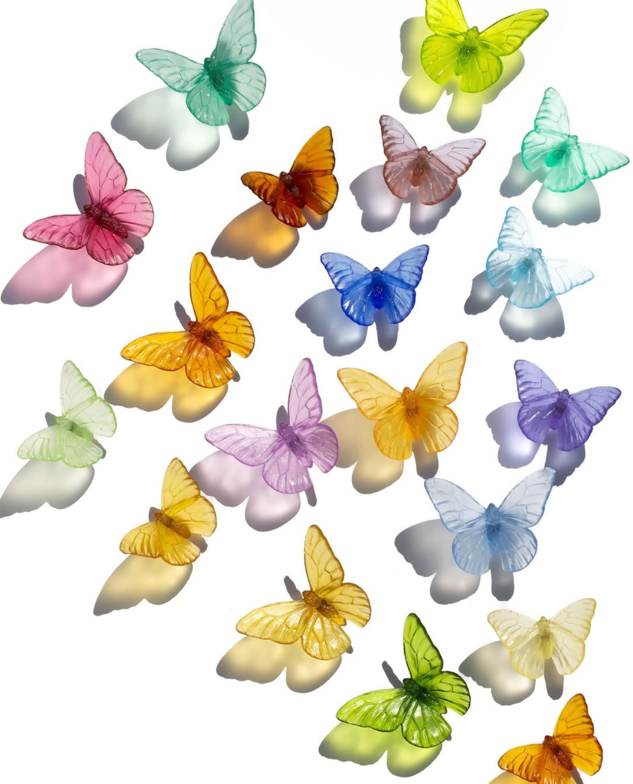Admiral | Classic Mount Butterfly | Glass