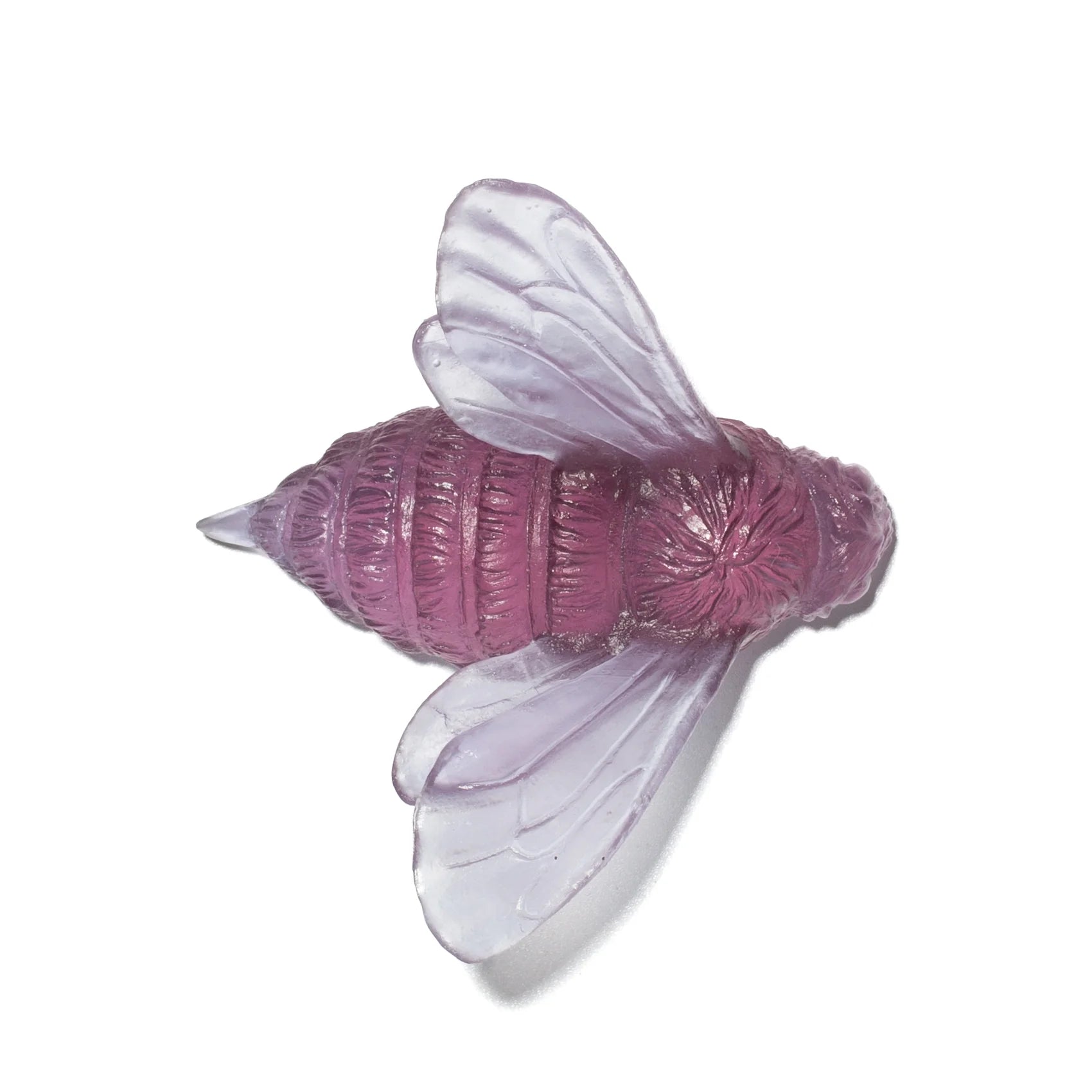 Bee Wings In | Glass