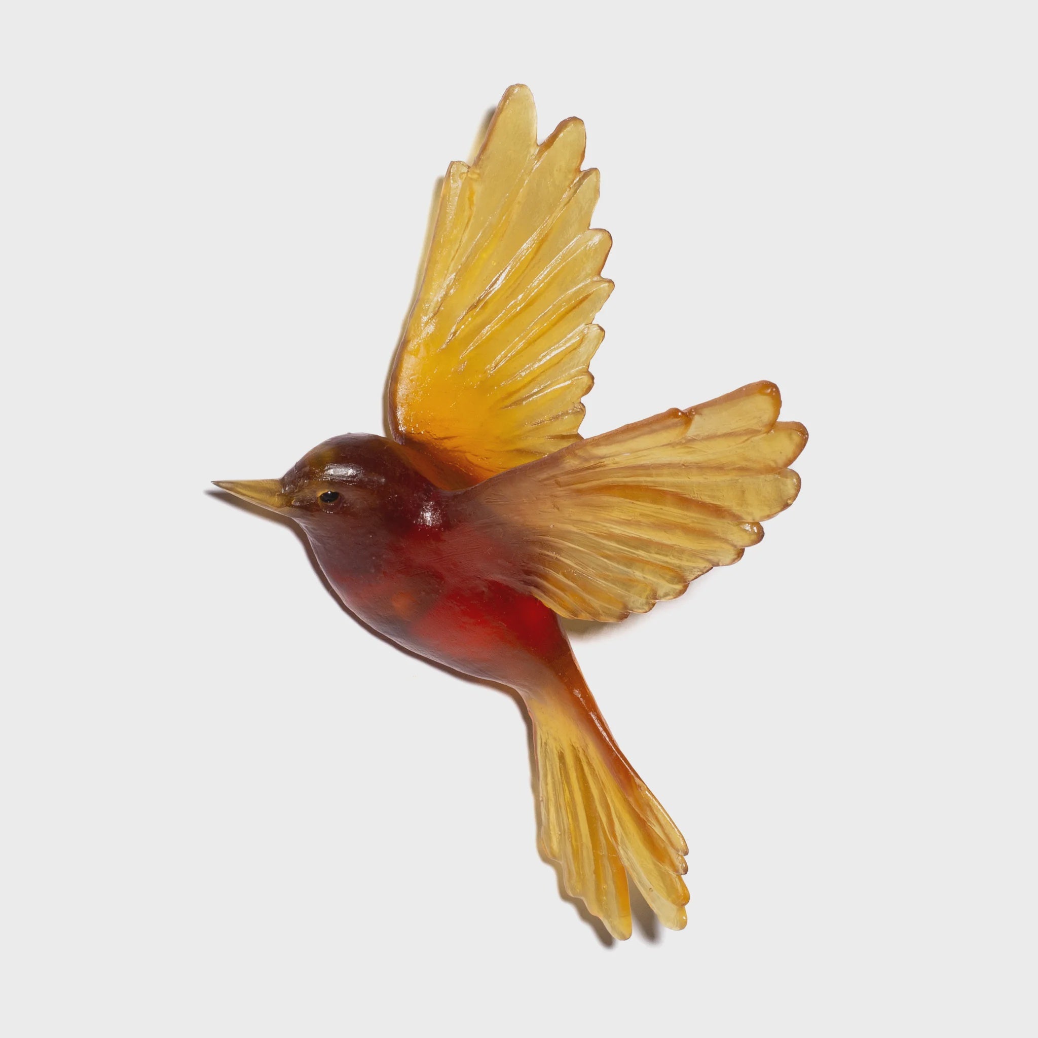 Matata | Fernbird | Glass Bird