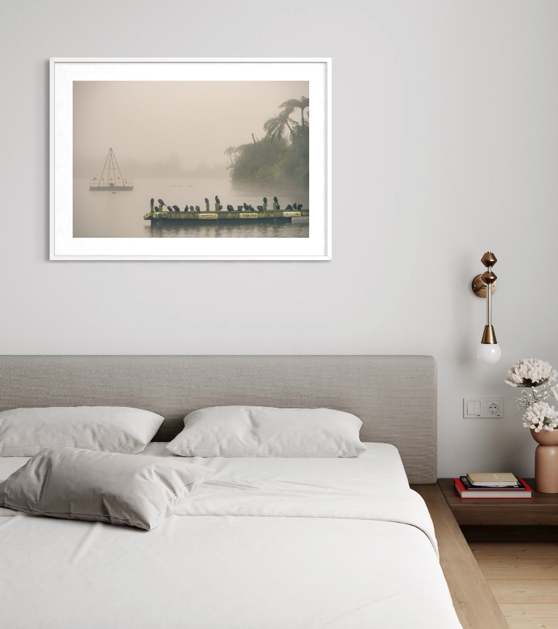 Lake Rotoiti on a Misty Morning | Limited Edition