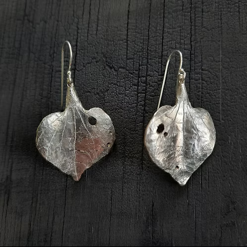 Kawakawa Leaf Earrings