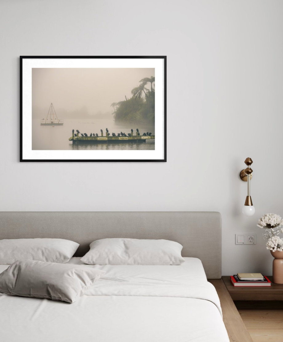 Lake Rotoiti on a Misty Morning | Limited Edition