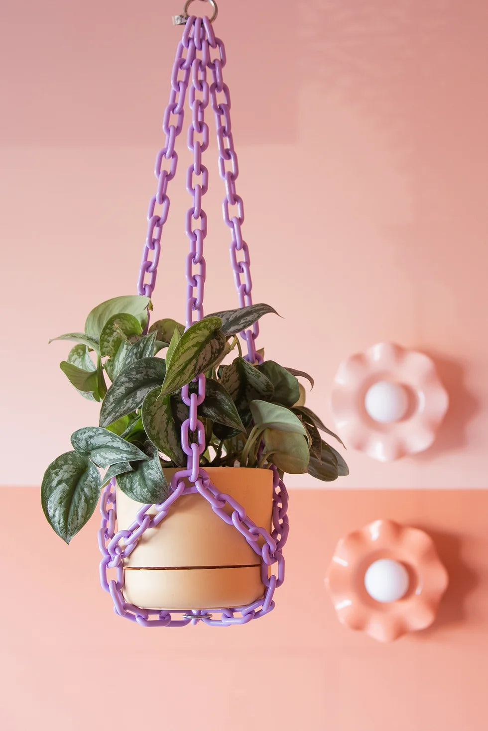 Plant Chain Hanger