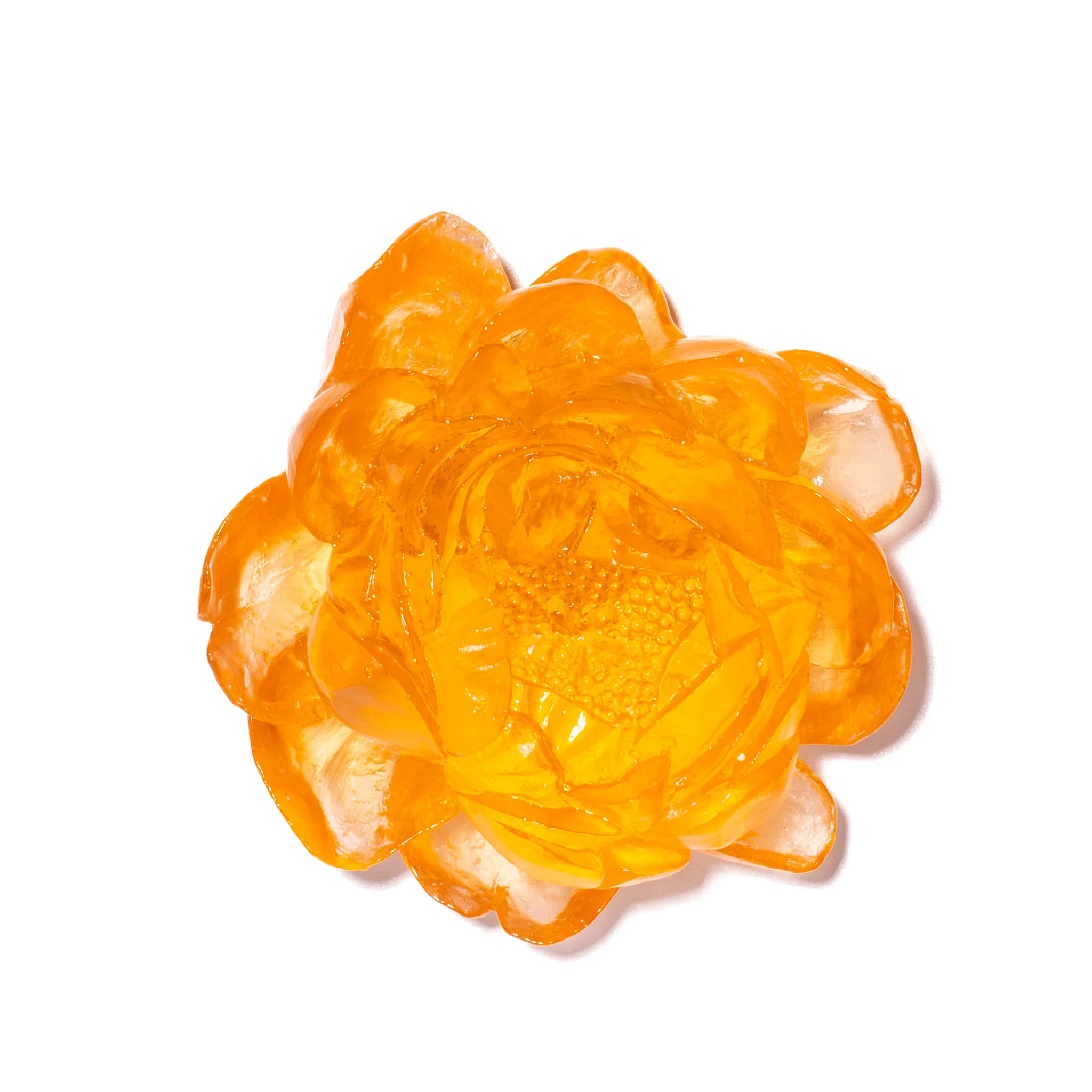 Peony Flower | Glass