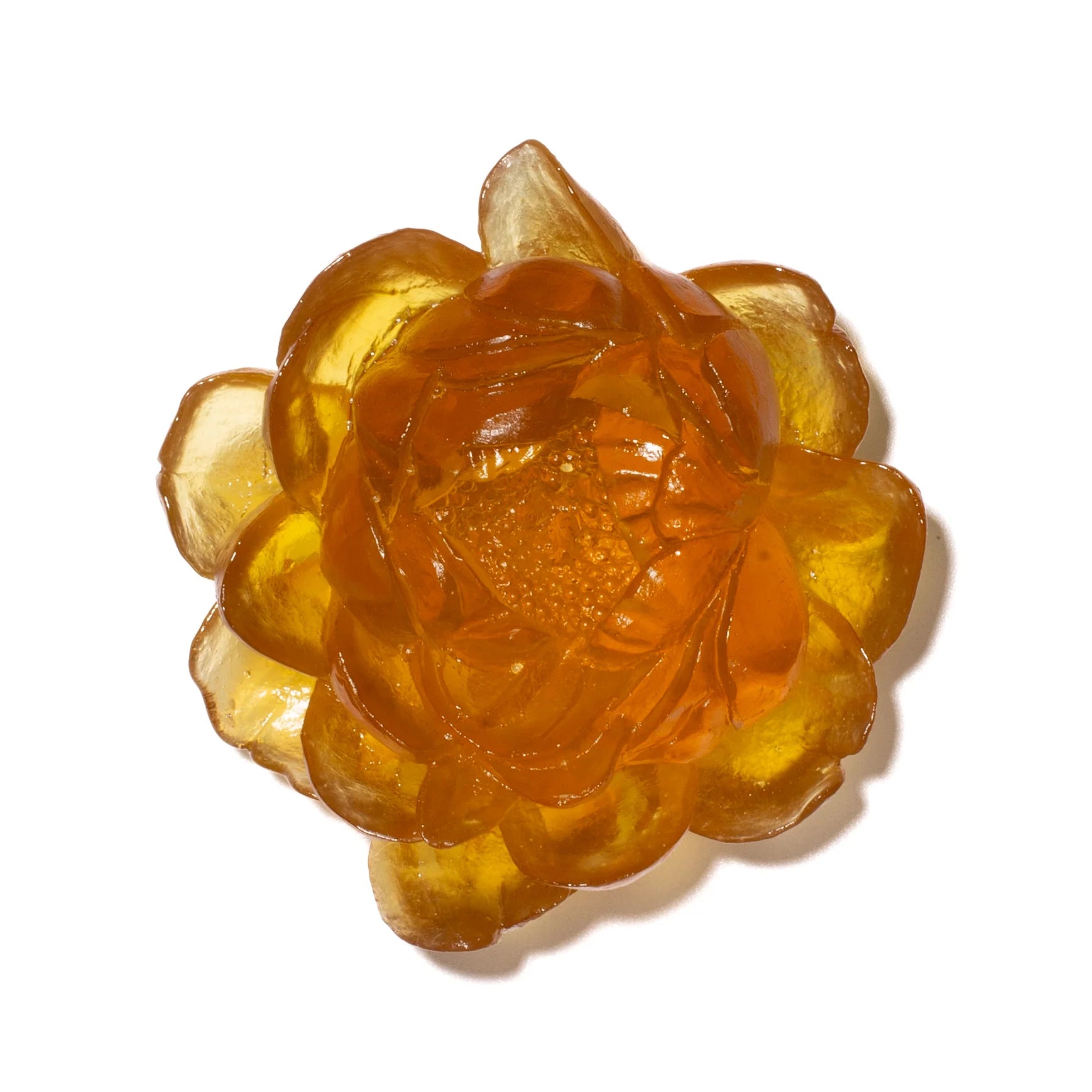 Peony Flower | Glass