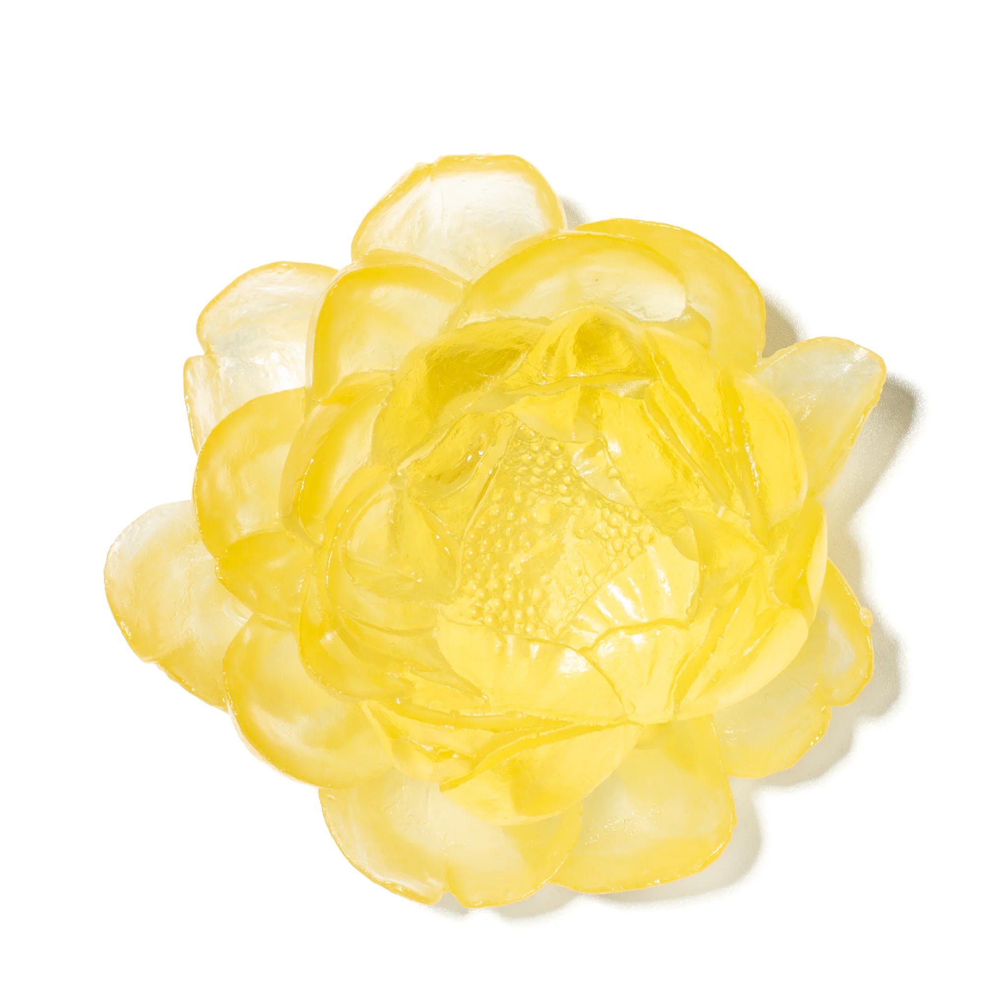 Peony Flower | Glass