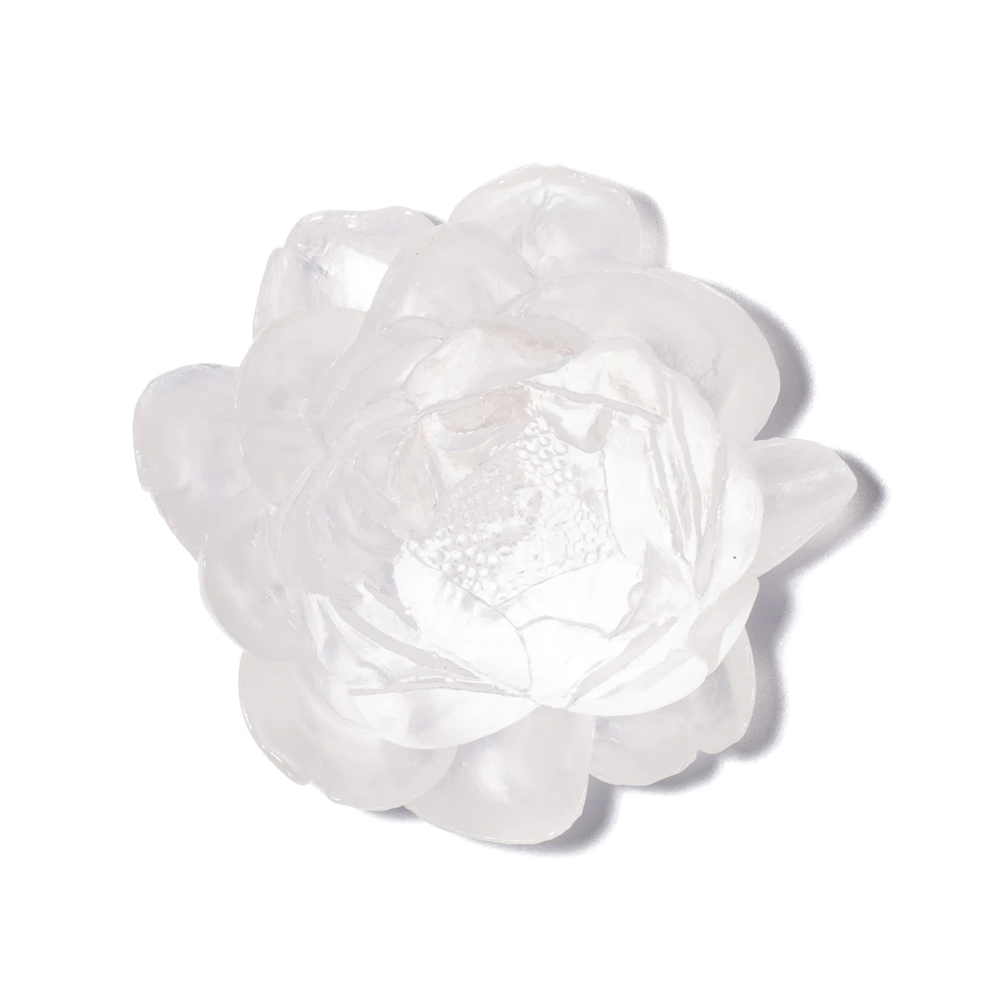 Peony Flower | Glass
