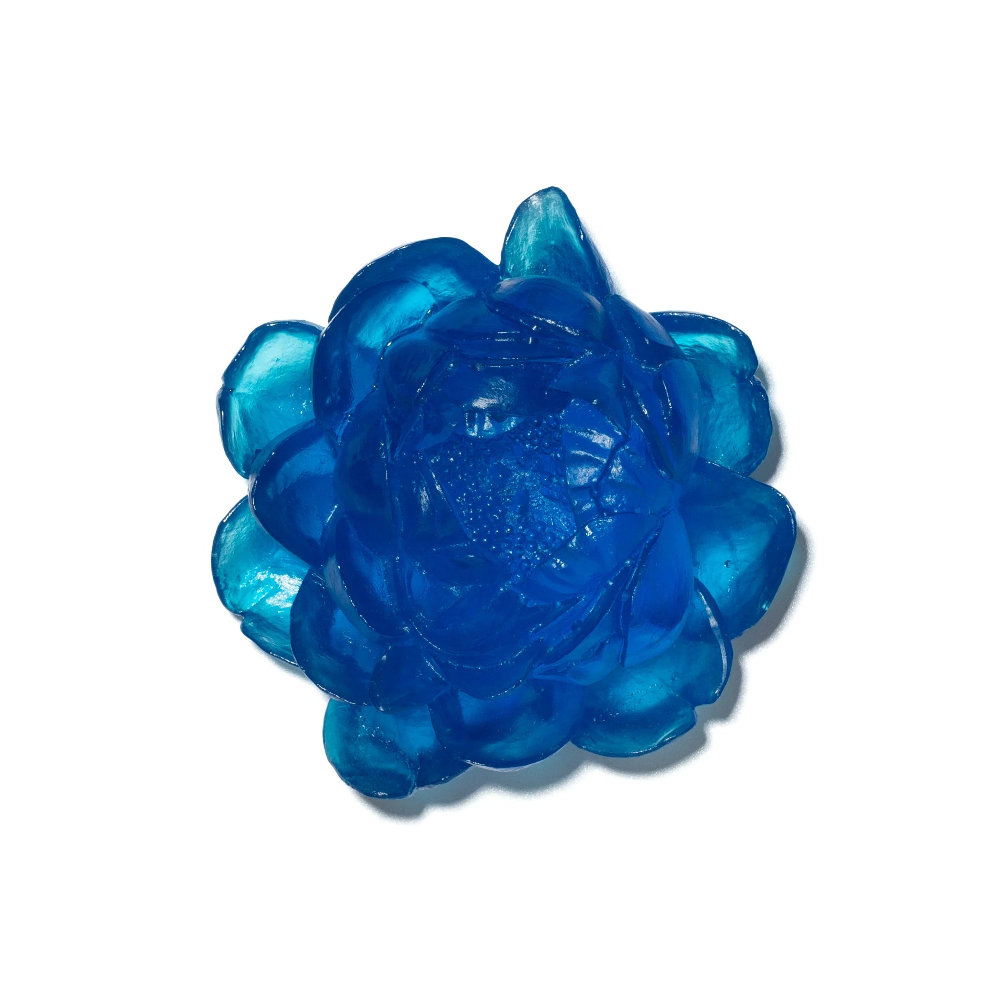 Peony Flower | Glass