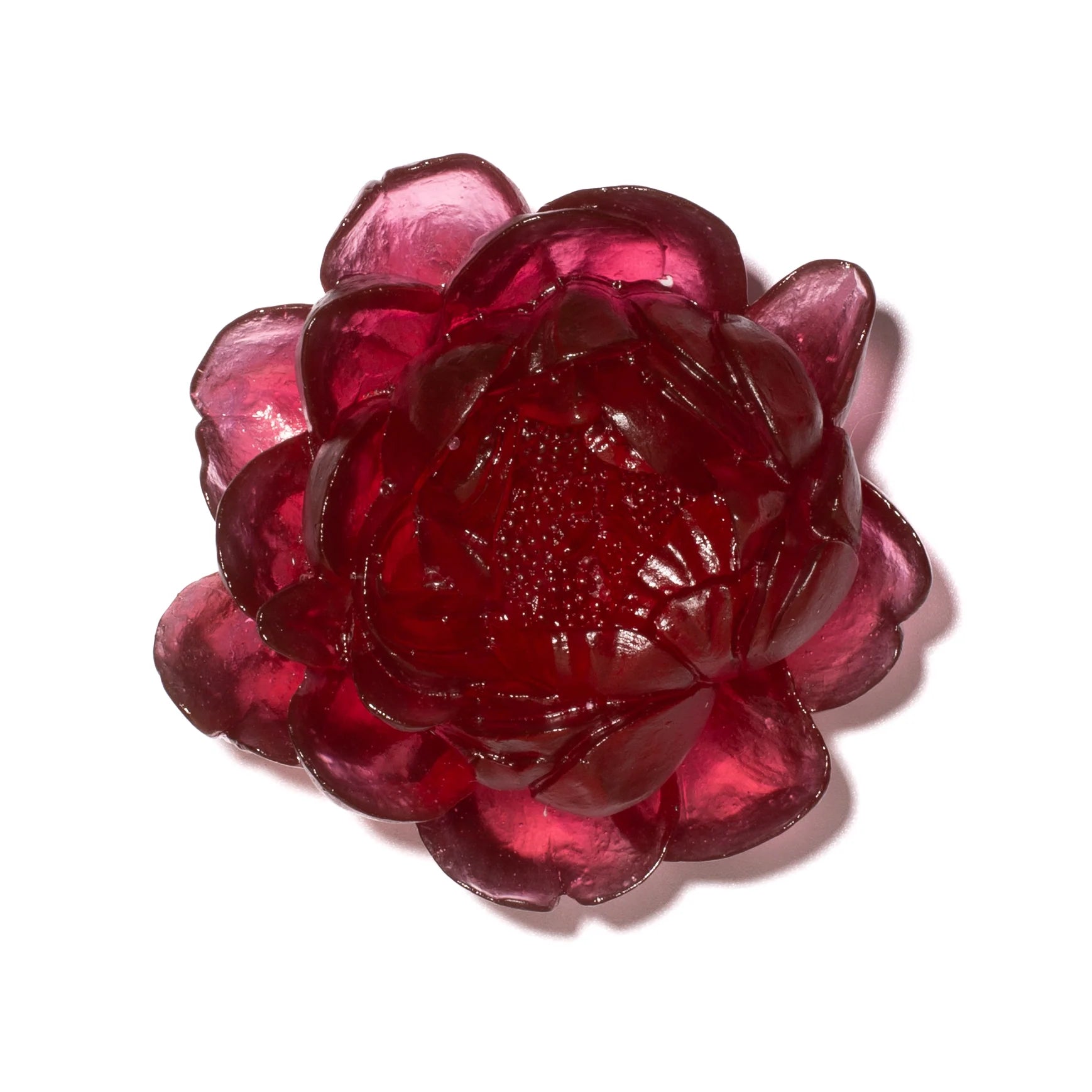 Peony Flower | Glass