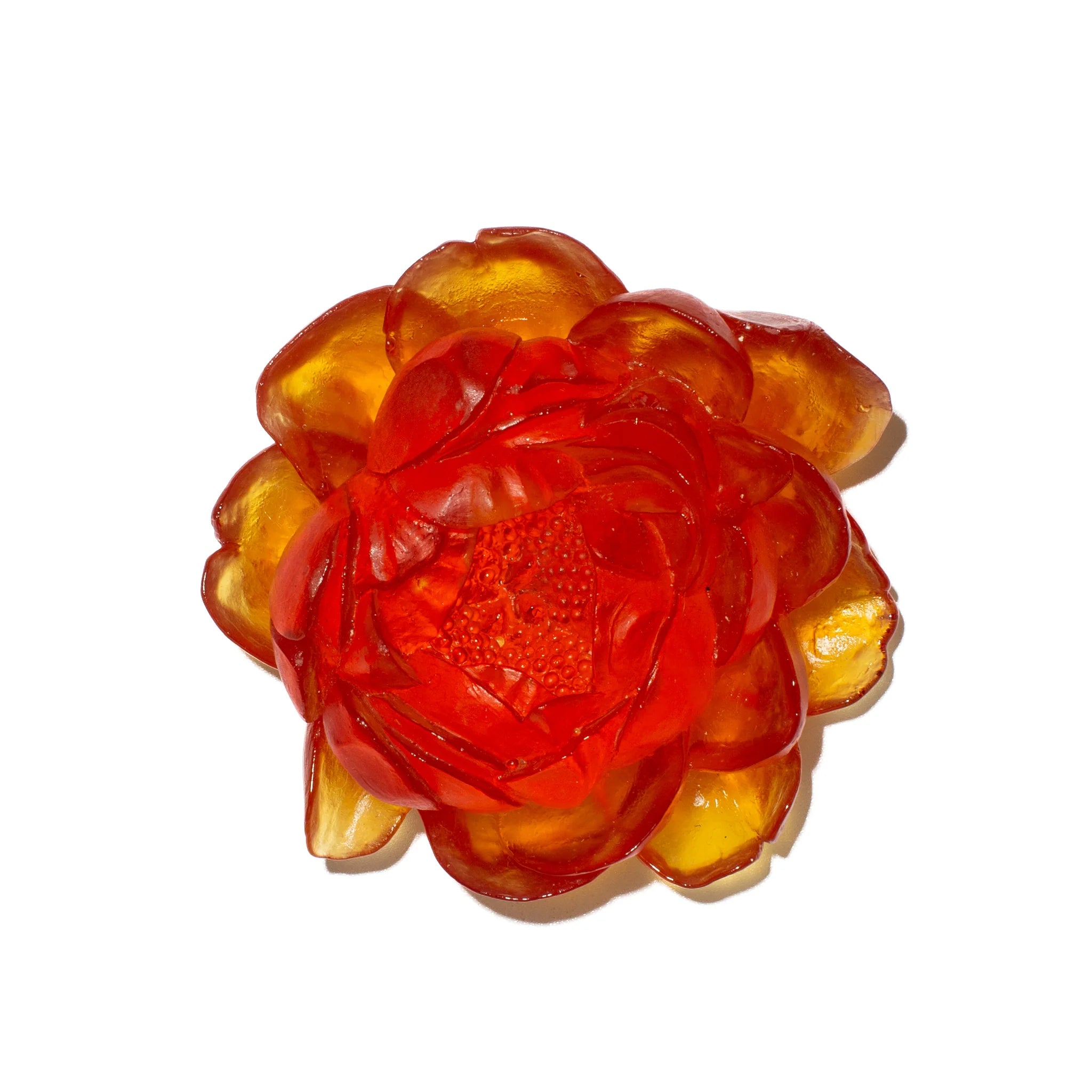 Peony Flower | Glass