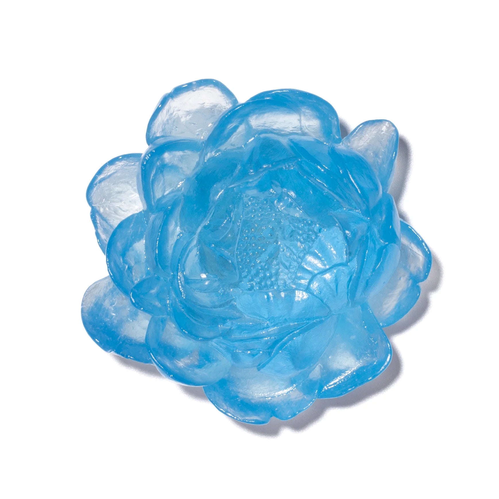 Dahlia Flower | Glass