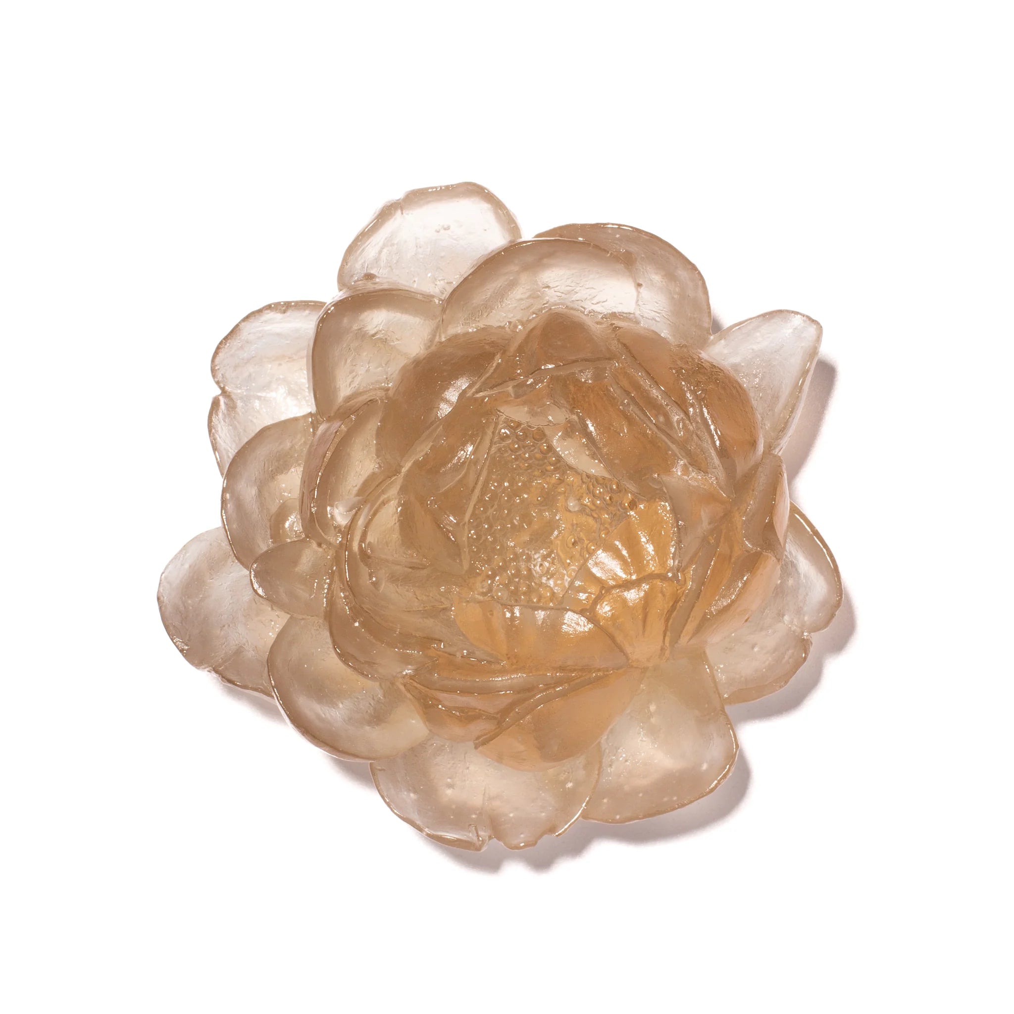 Dahlia Flower | Glass