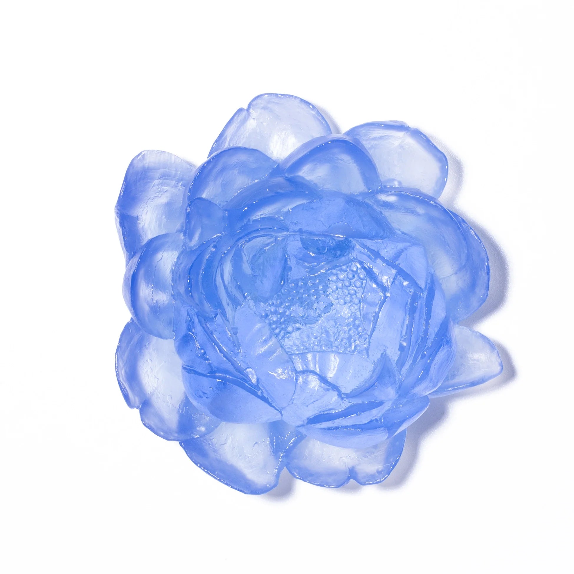 Dahlia Flower | Glass