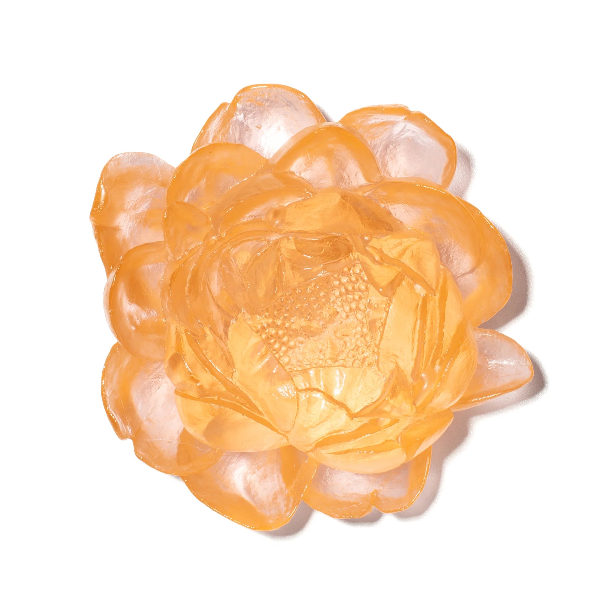 Peony Flower | Glass