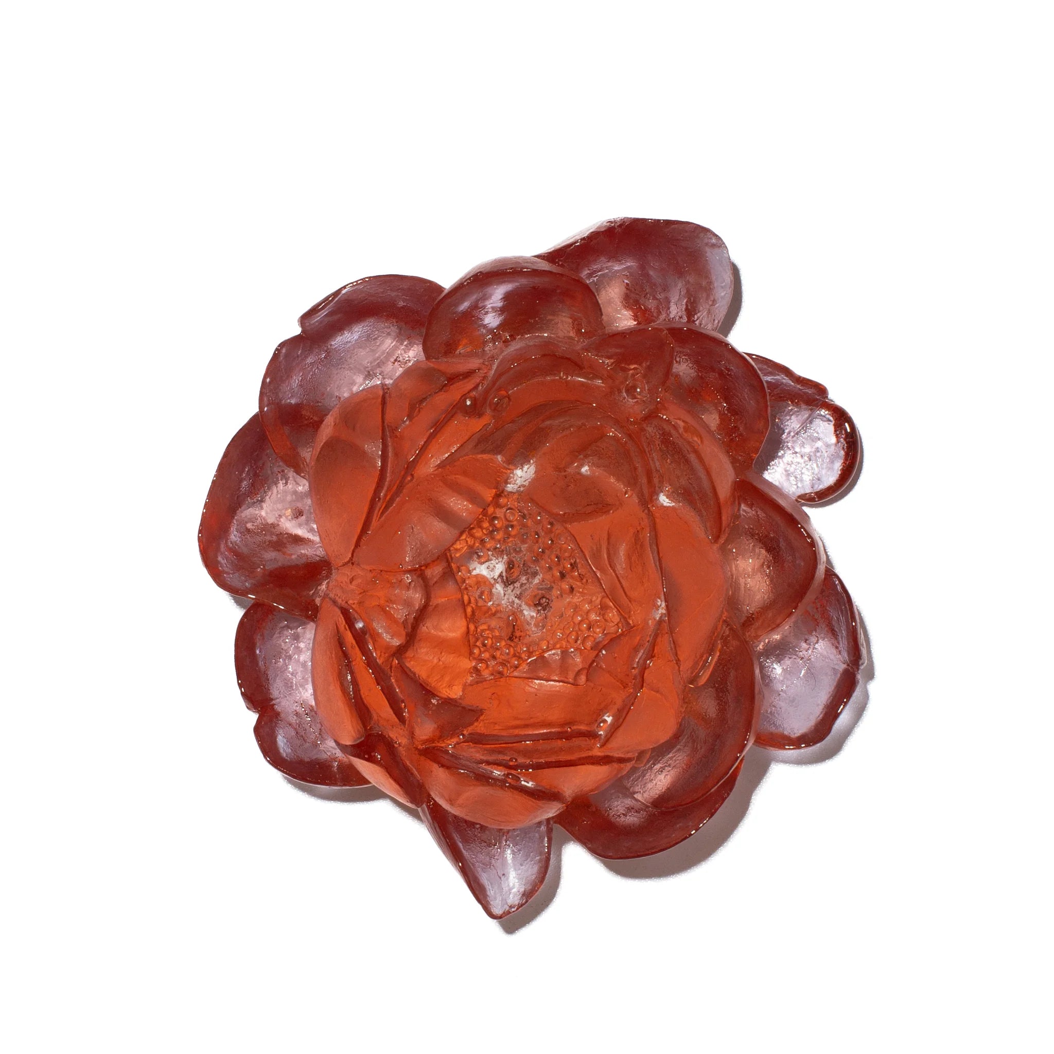 Dahlia Flower | Glass