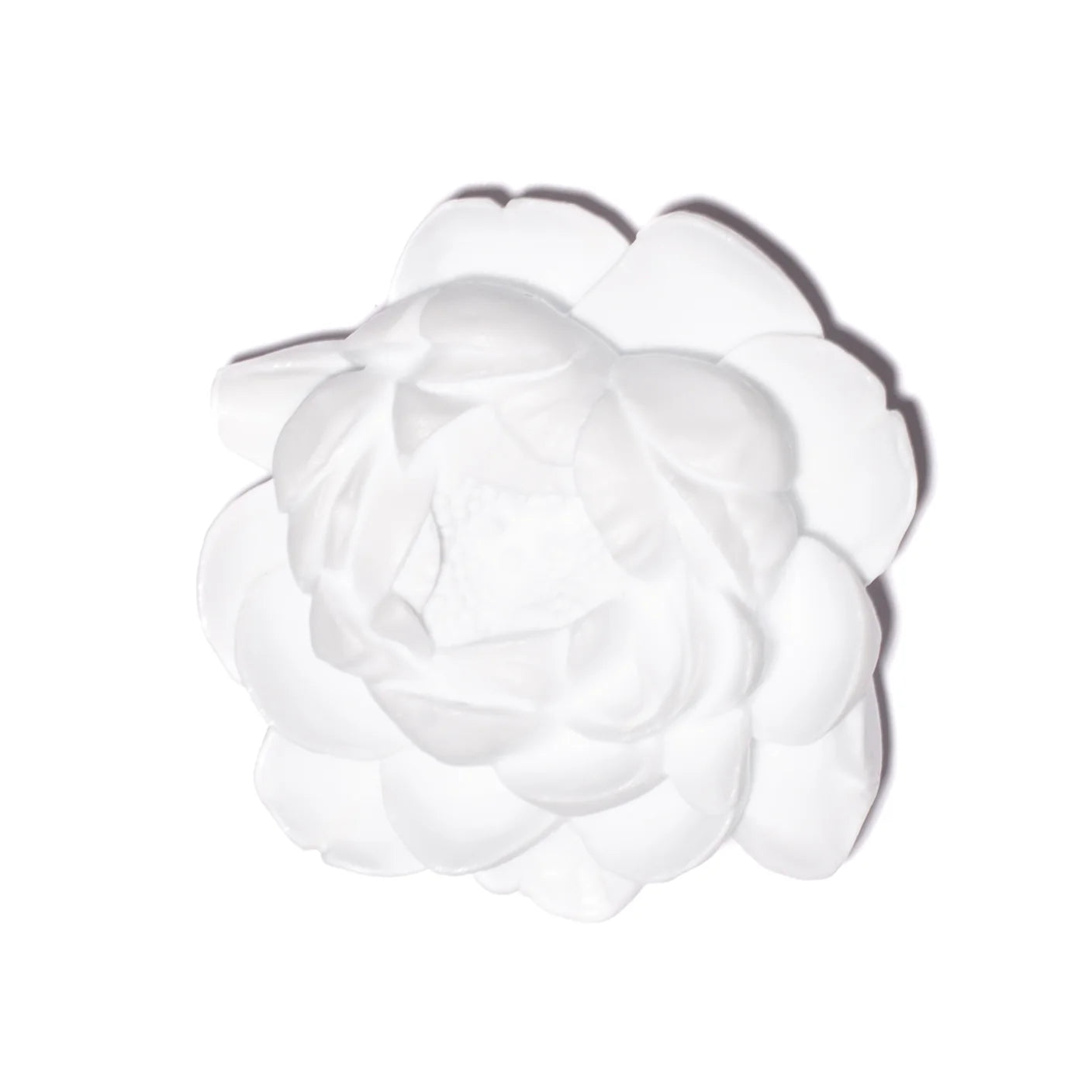 Peony Flower | Glass