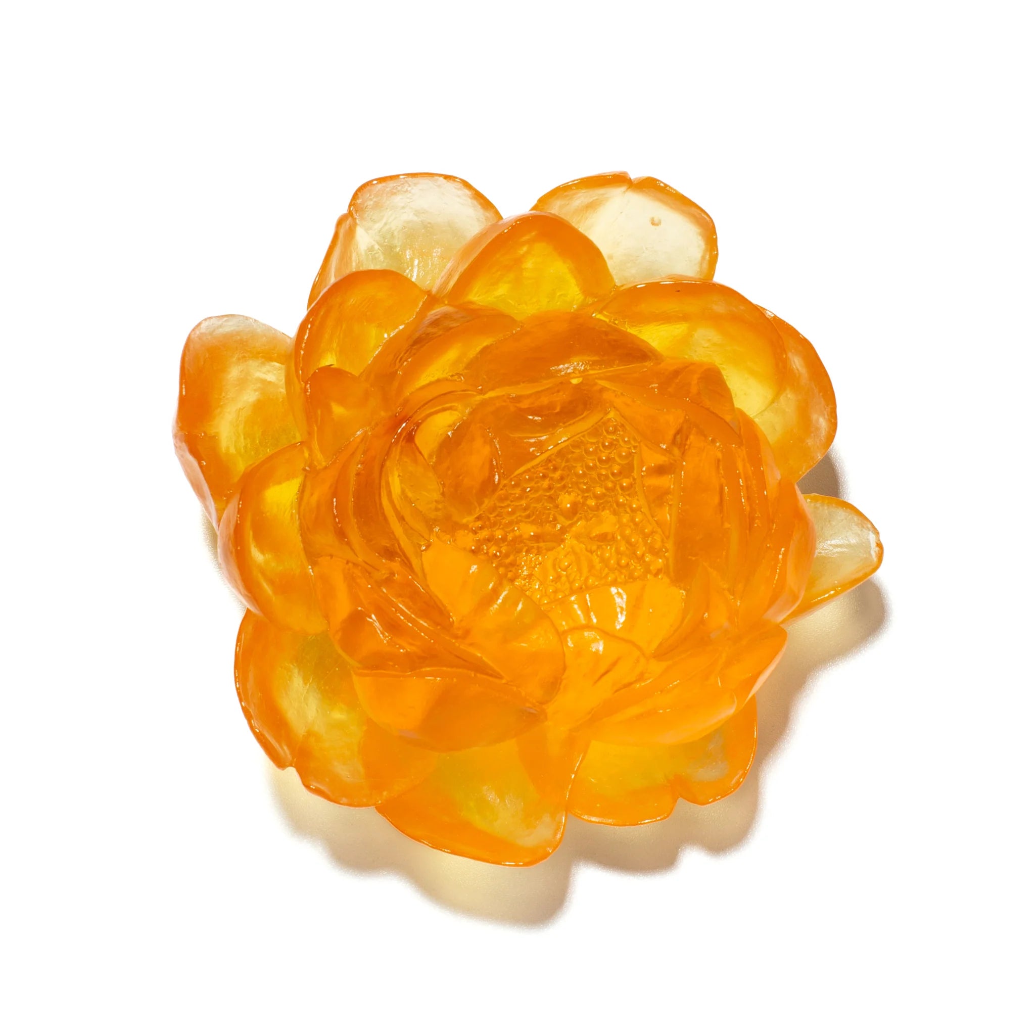 Peony Flower | Glass