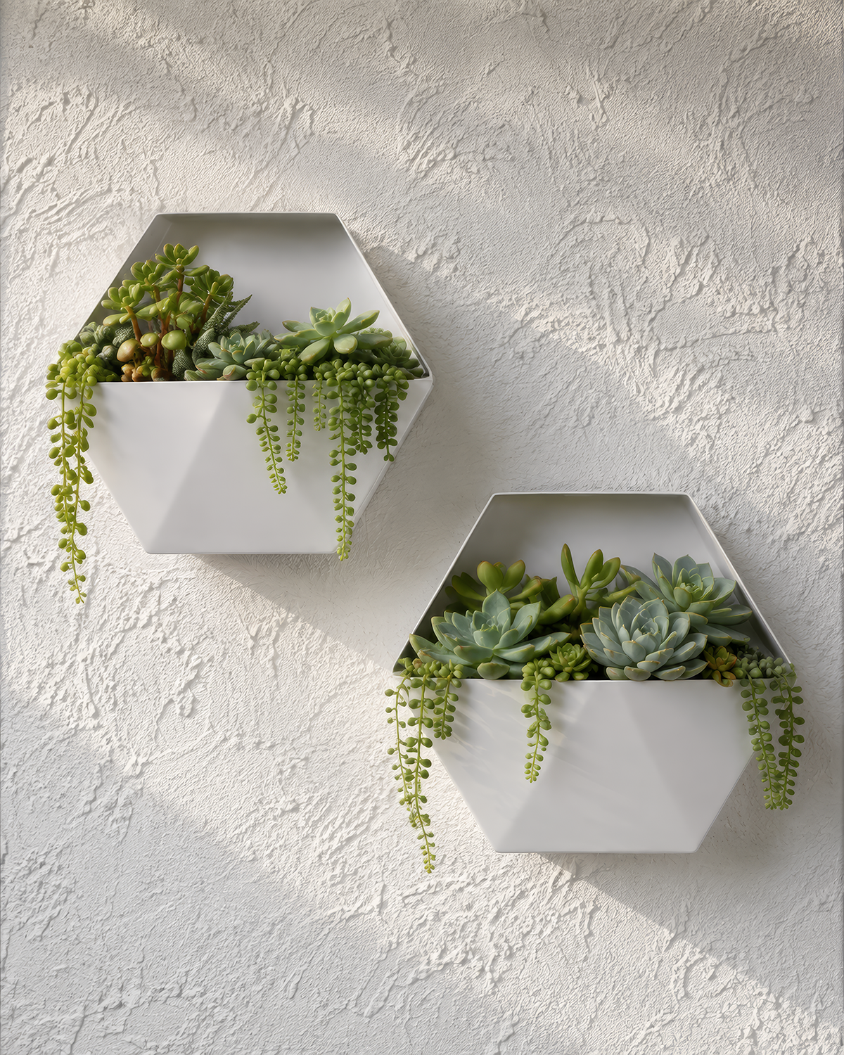 Hex Planter