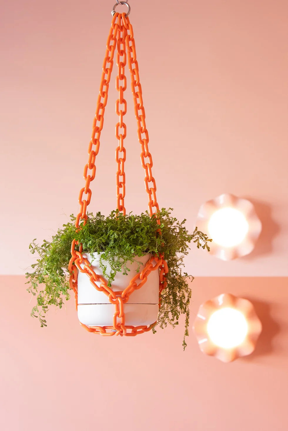 Plant Chain Hanger