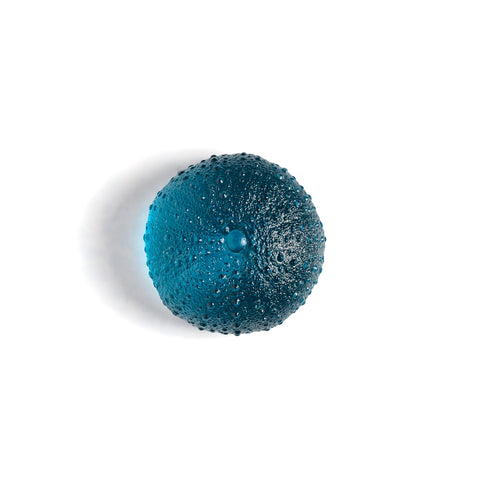 Sea Urchin - Kina | Sea Blue | Hand Cast Glass