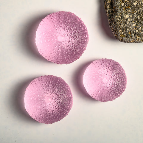 Sea Urchin - Kina | Pink | Hand Cast Glass