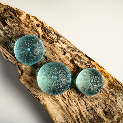 Sea Urchin - Kina | Light Aqua | Hand Cast Glass