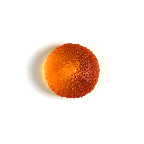 Sea Urchin - Kina | Orange | Hand Cast Glass