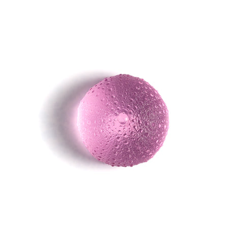 Sea Urchin - Kina | Pink | Hand Cast Glass