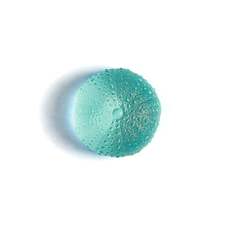 Sea Urchin - Kina | Pale Copper | Hand Cast Glass