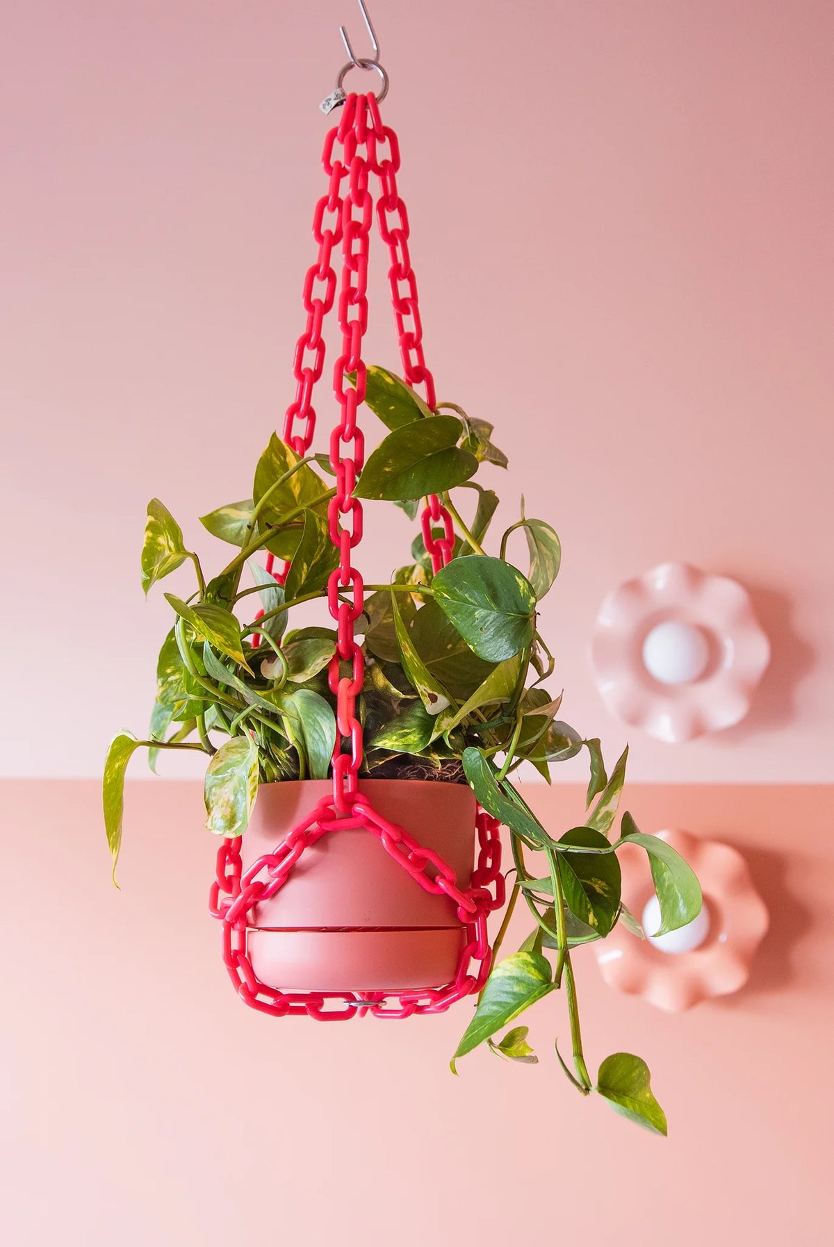 Plant Chain Hanger
