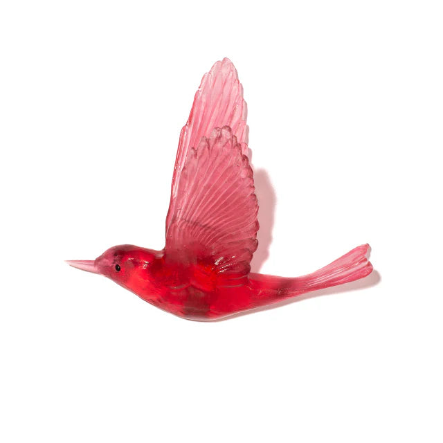 Pipiwharauroa / Shining Cuckoo | Glass Bird