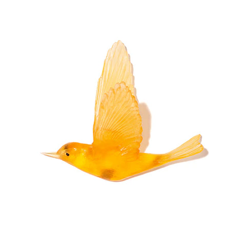 Pipiwharauroa / Shining Cuckoo | Glass Bird