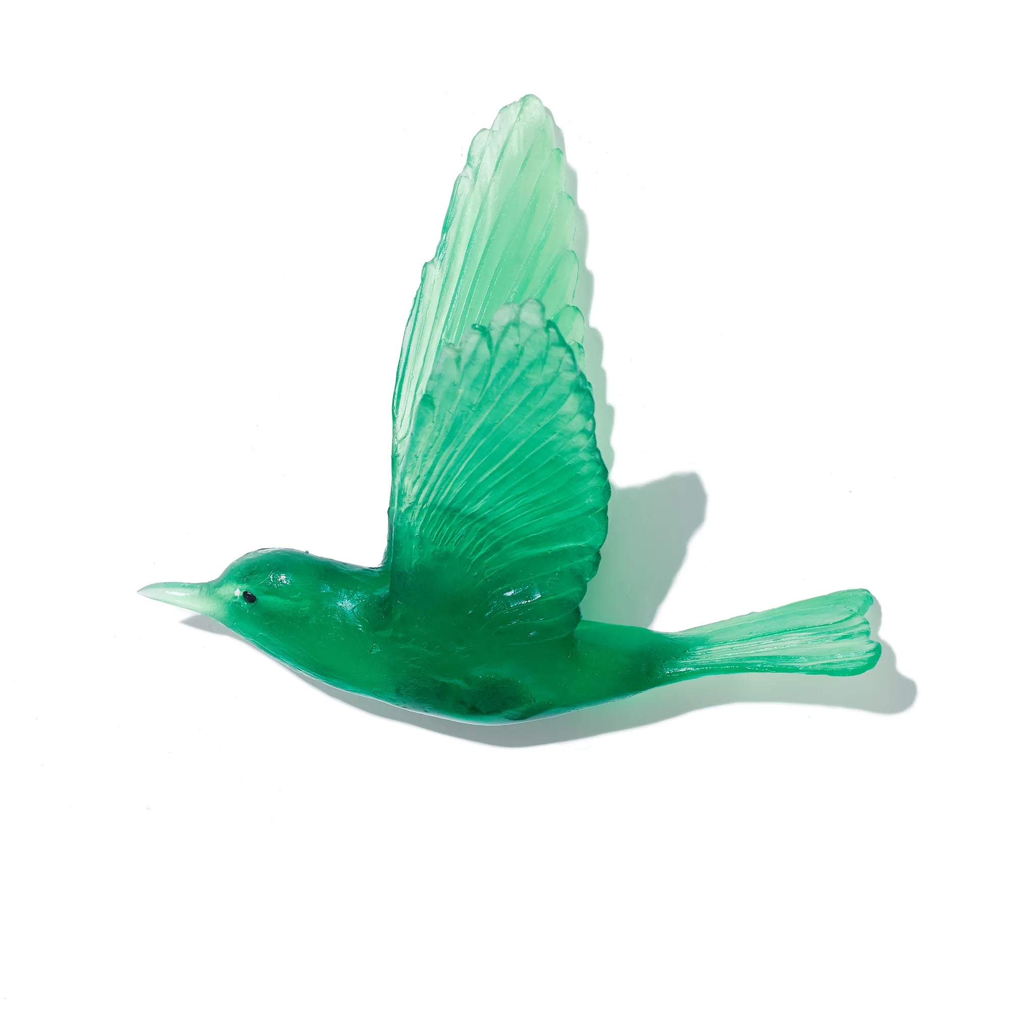 Pipiwharauroa / Shining Cuckoo | Glass Bird