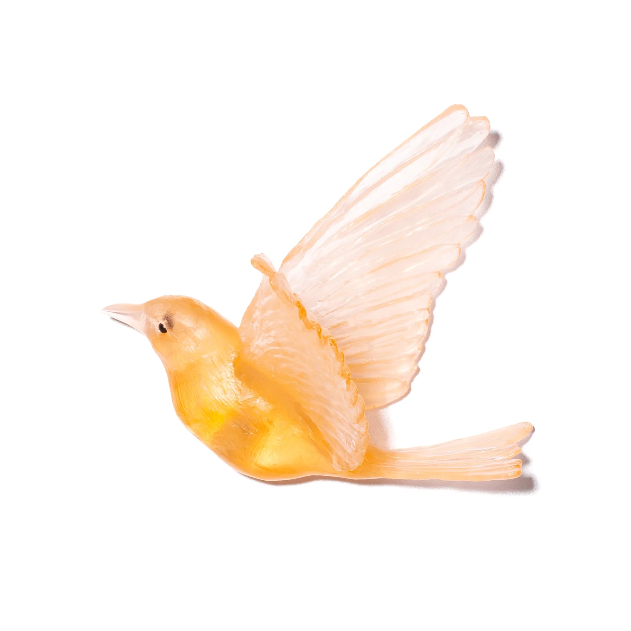 Hihi / Stitchbird | Glass Bird