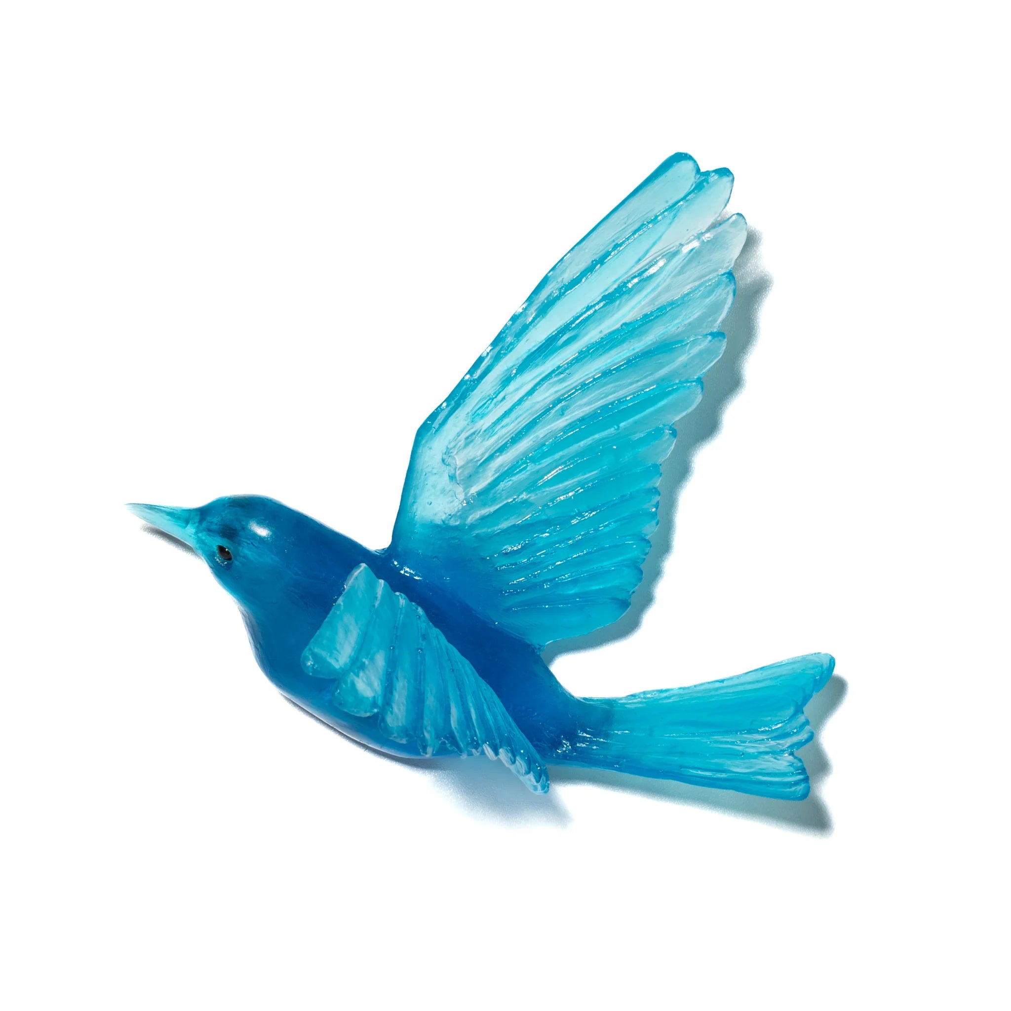 Hihi / Stitchbird | Glass Bird