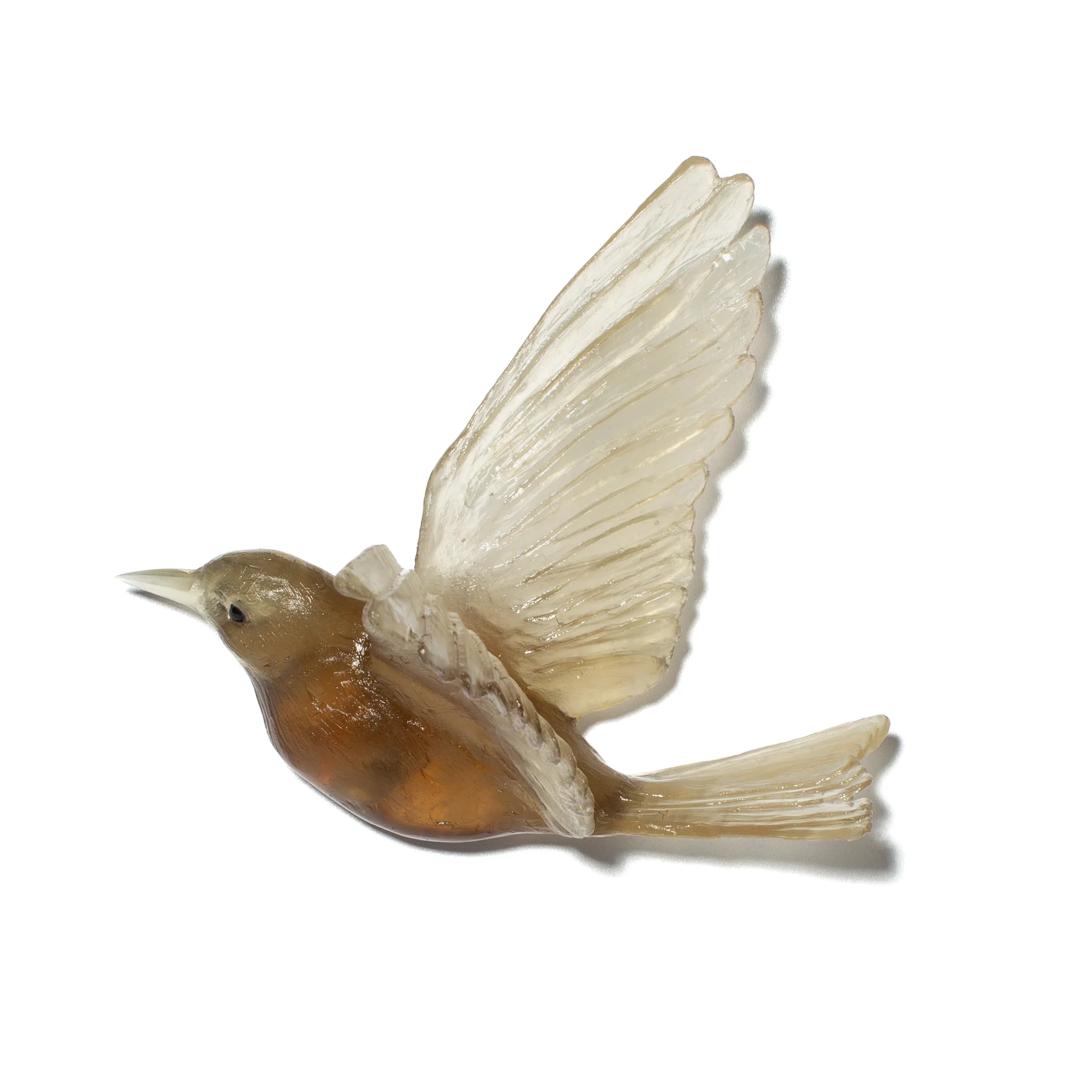 Hihi / Stitchbird | Glass Bird