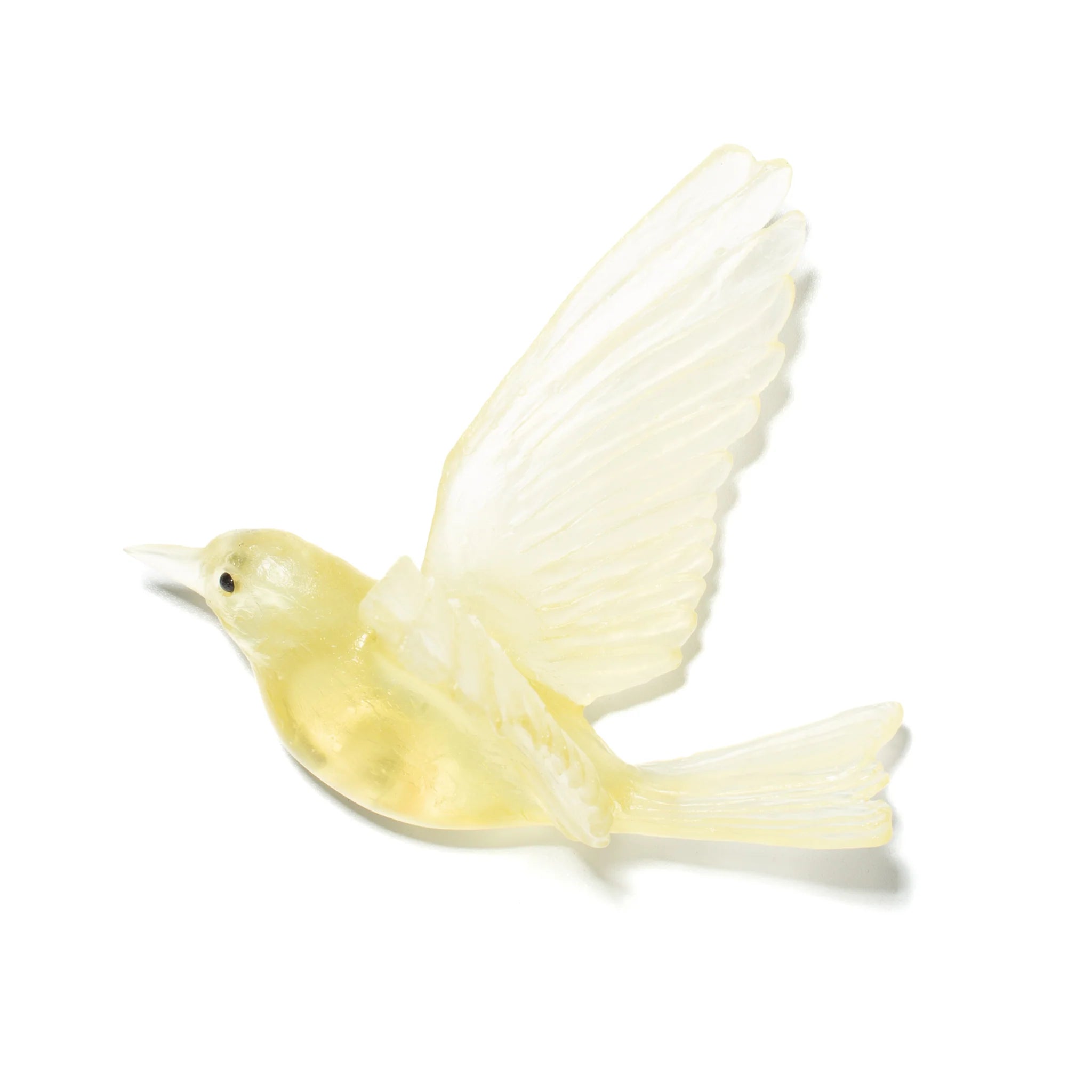 Hihi / Stitchbird | Glass Bird