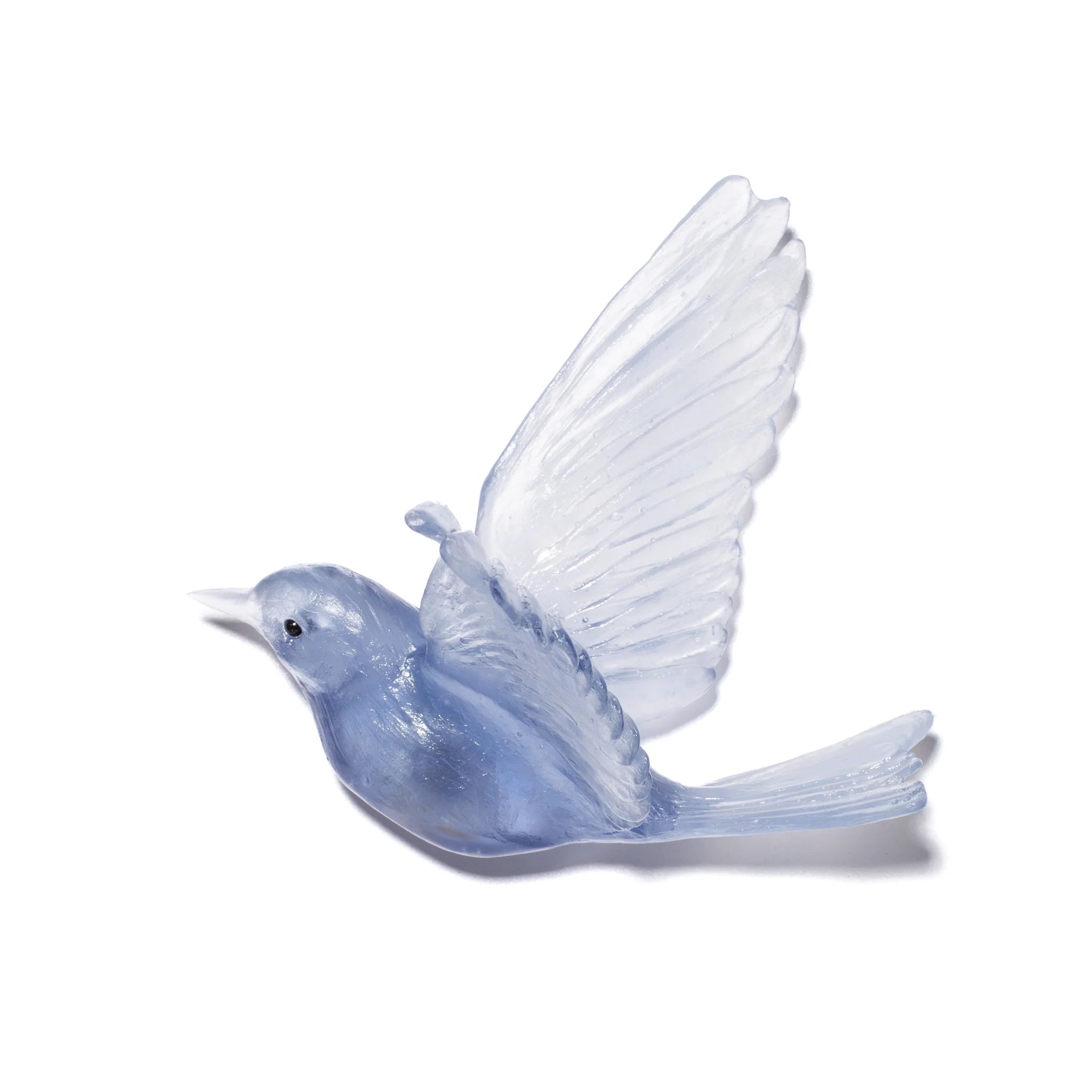 Hihi / Stitchbird | Glass Bird