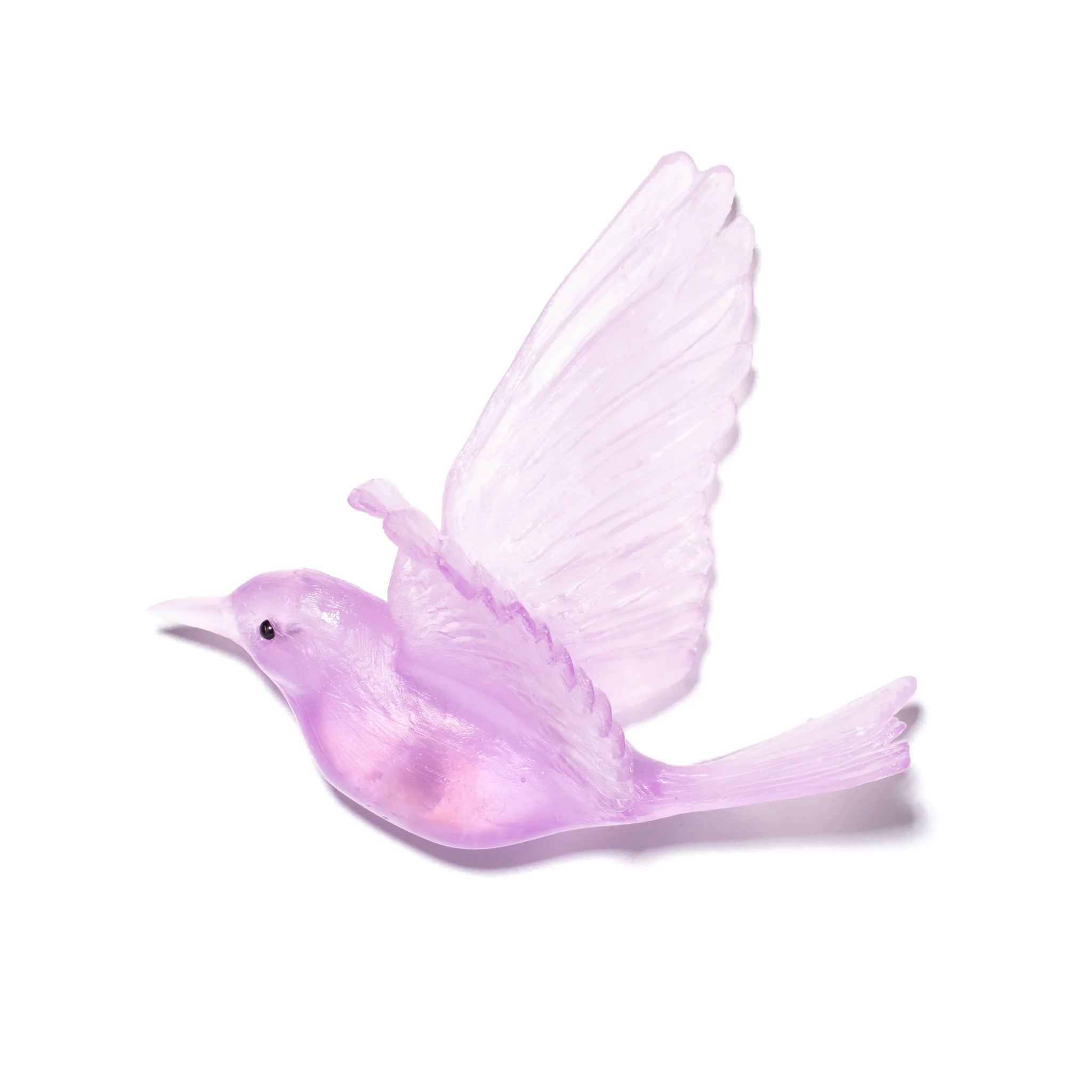 Hihi / Stitchbird | Glass Bird