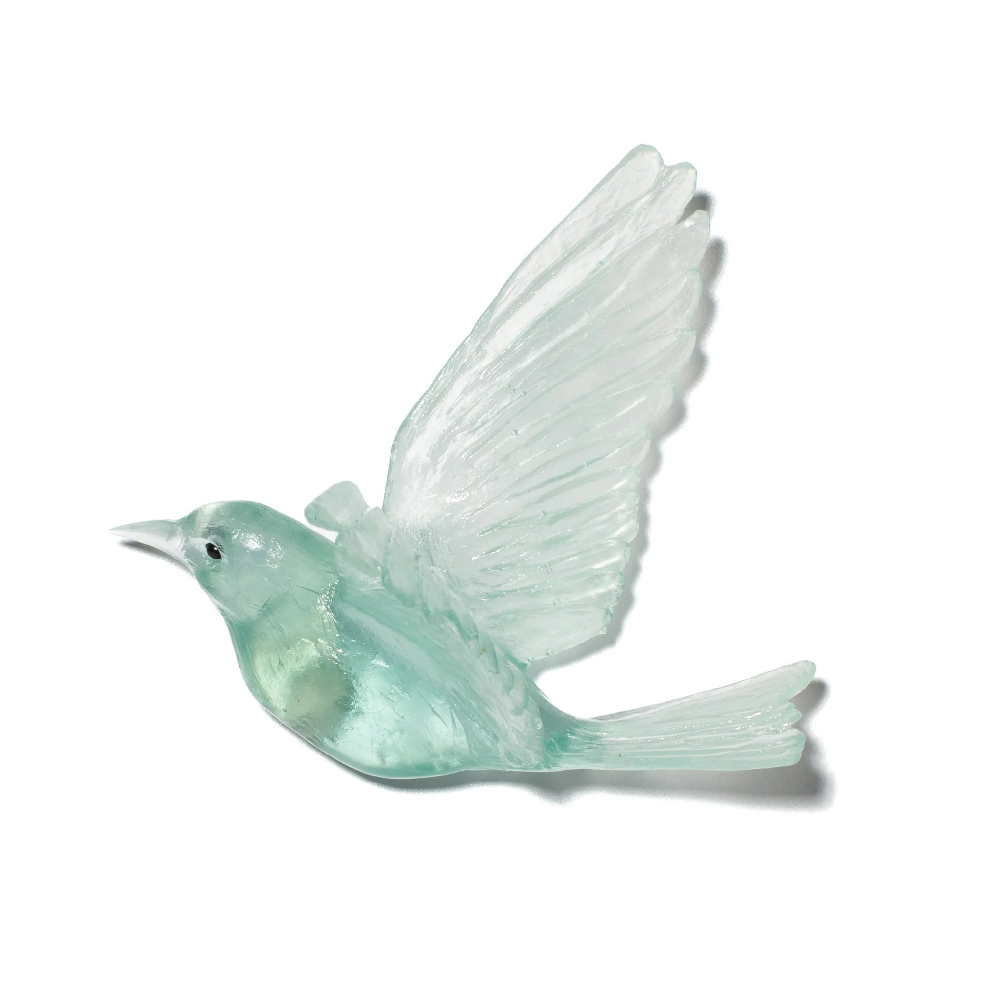 Hihi / Stitchbird | Glass Bird
