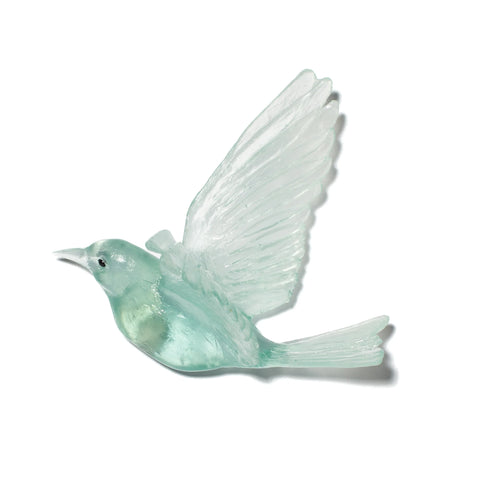 Hihi / Stitchbird | Glass Bird