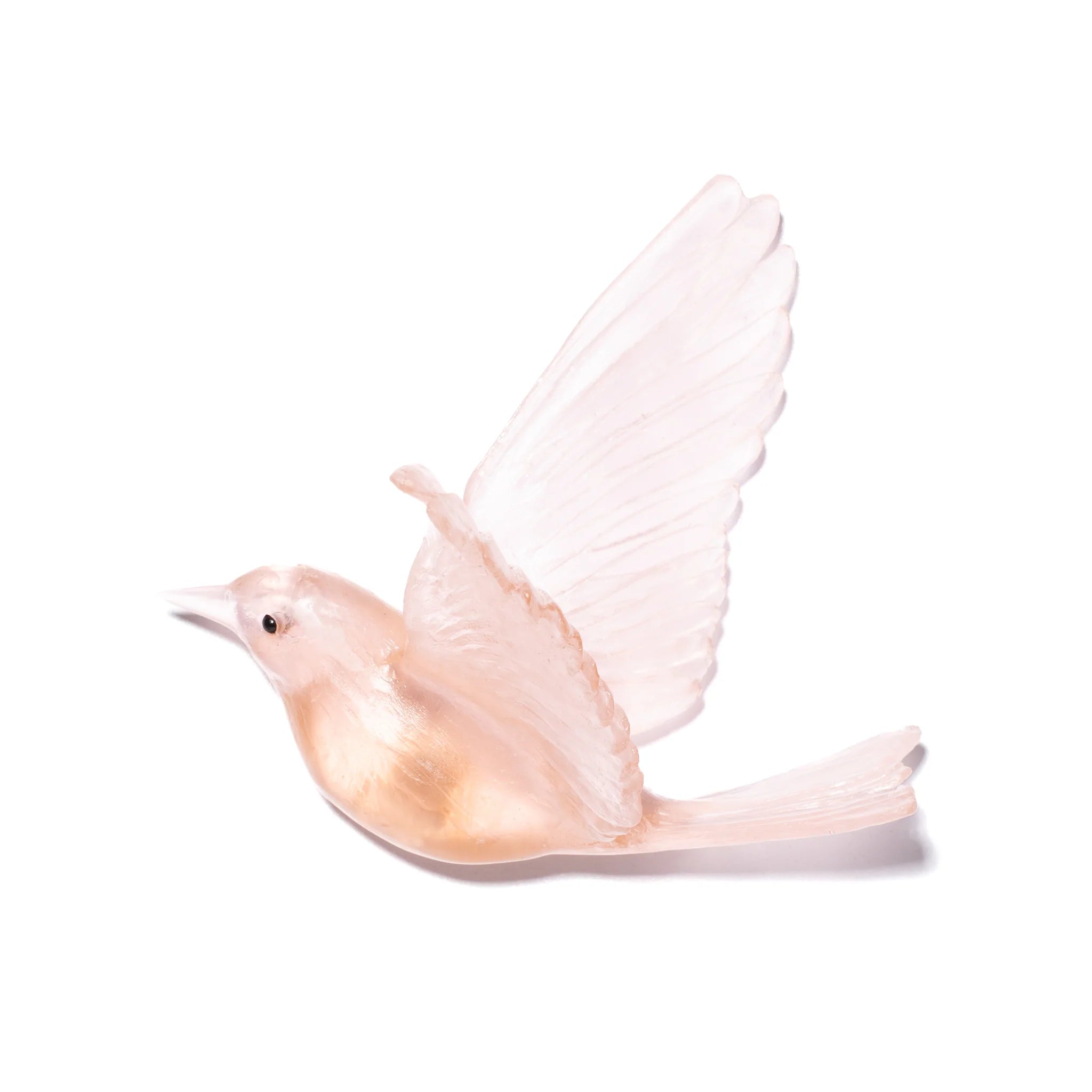 Hihi / Stitchbird | Glass Bird