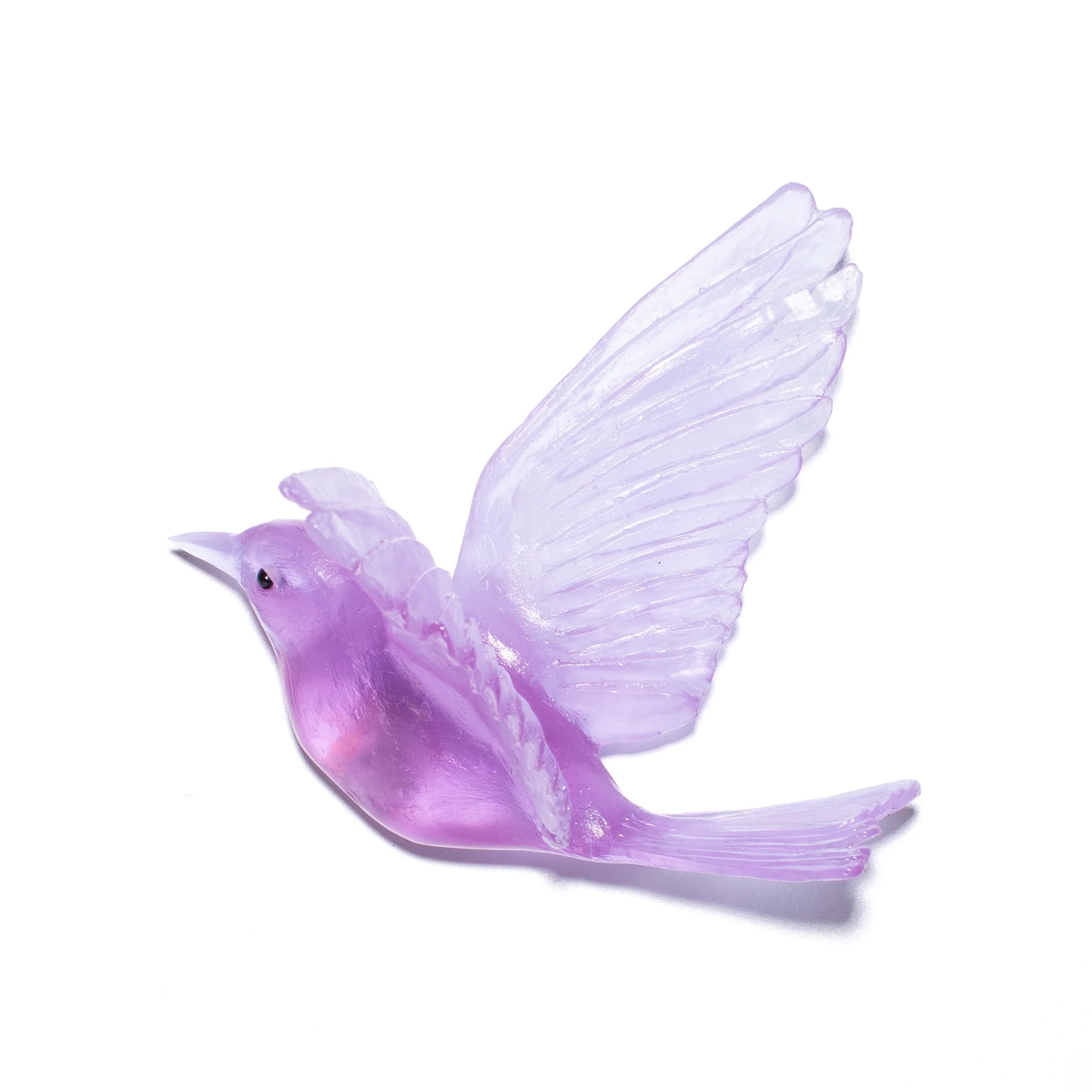 Hihi / Stitchbird | Glass Bird