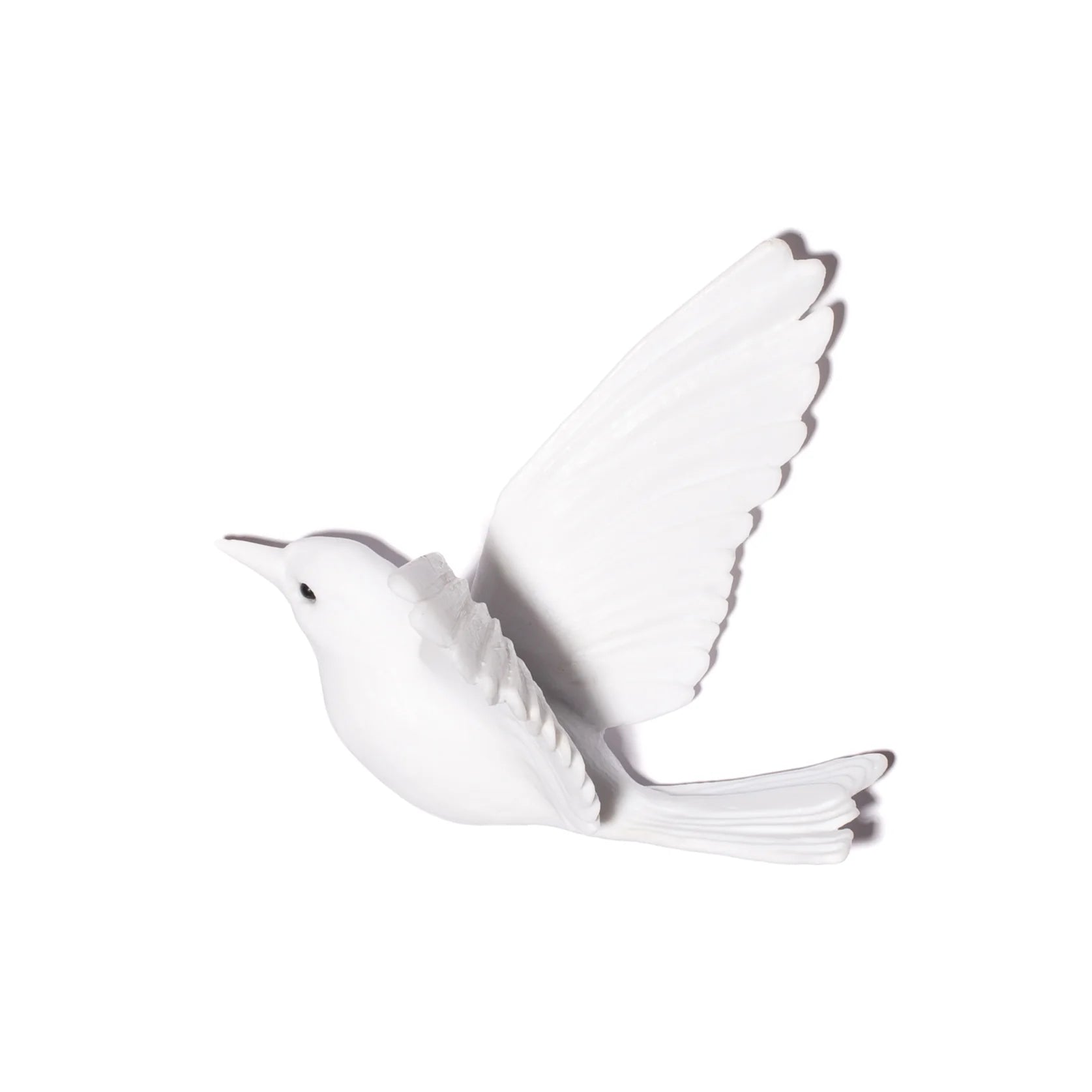 Hihi / Stitchbird | Glass Bird