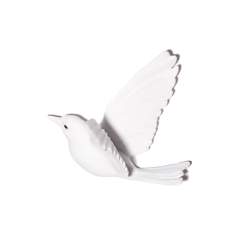 Hihi / Stitchbird | Glass Bird