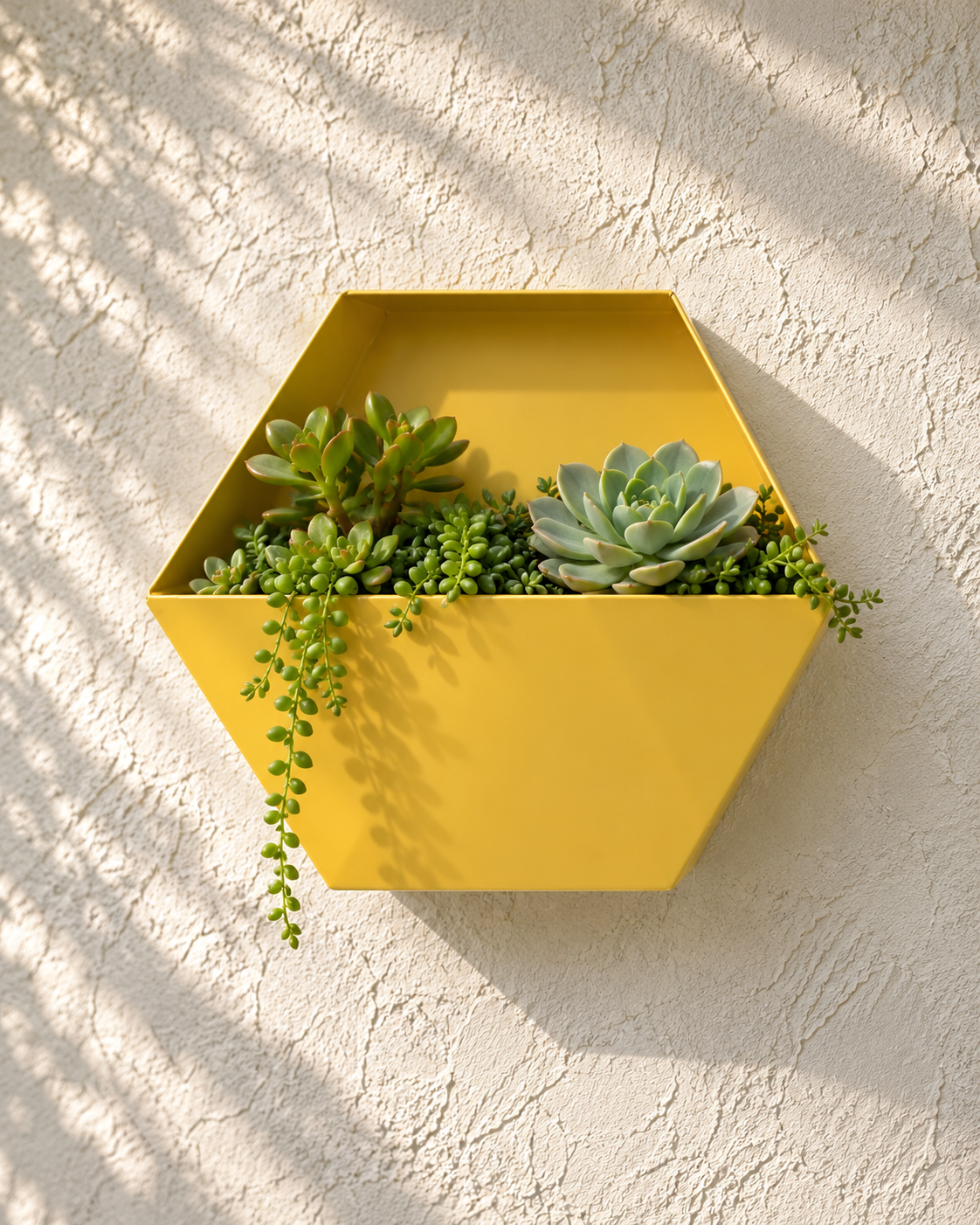 Hex Planter